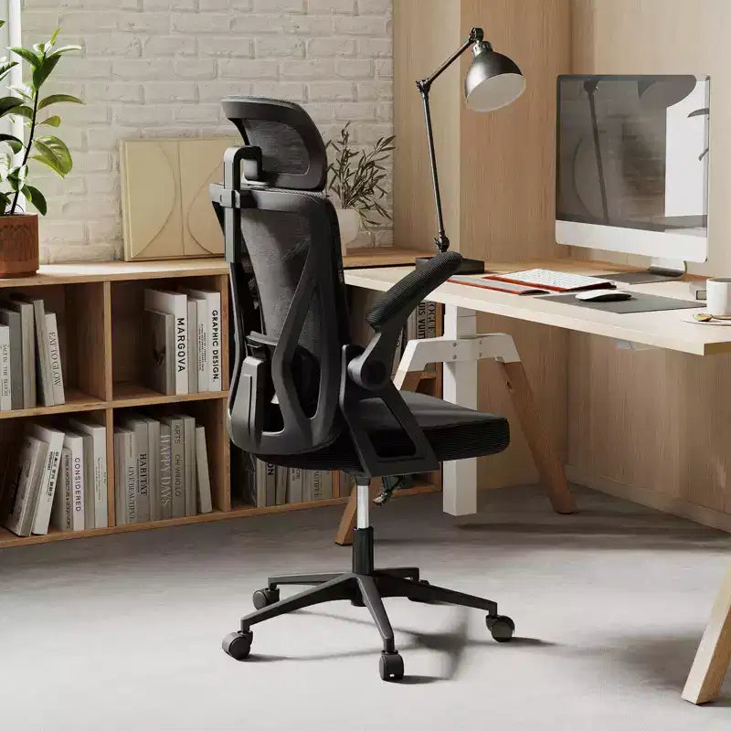 Ergonomic Mesh Office Chair with Adjustable Lumbar Support & Headrest, Black