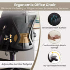 Ergonomic Mesh Office Chair with Adjustable Lumbar Support & Headrest, Black