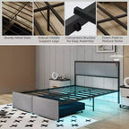 Full Size Platform Bed Frame with LED Lights & 2 Storage Drawers, Gray